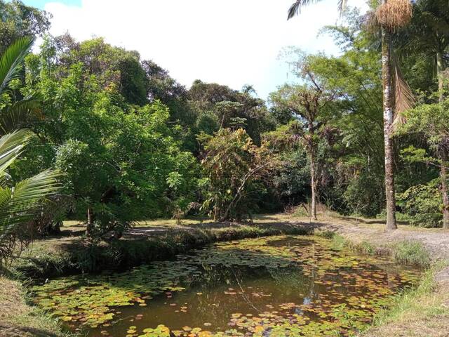 Chácara para Venda em Itanhaém - 5