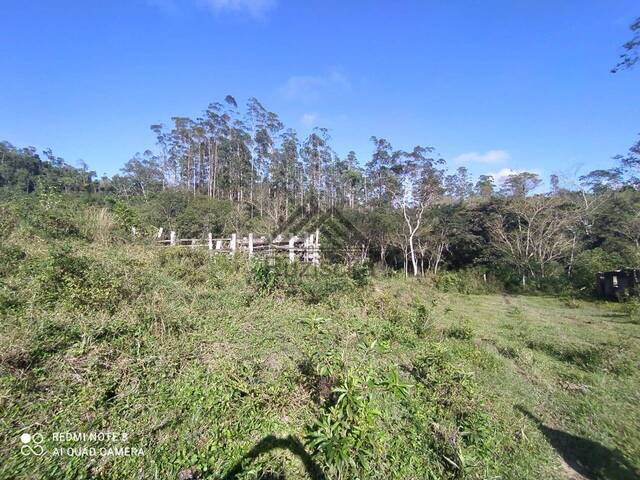 #CH09 - Sítio para Venda em Miracatu - SP