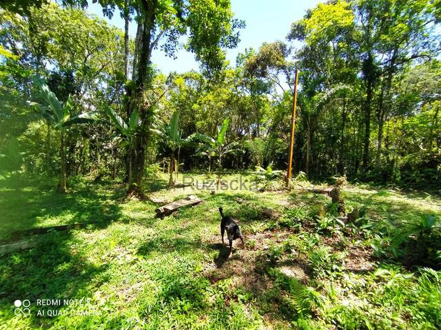 Chácara para Venda em Itanhaém - 4