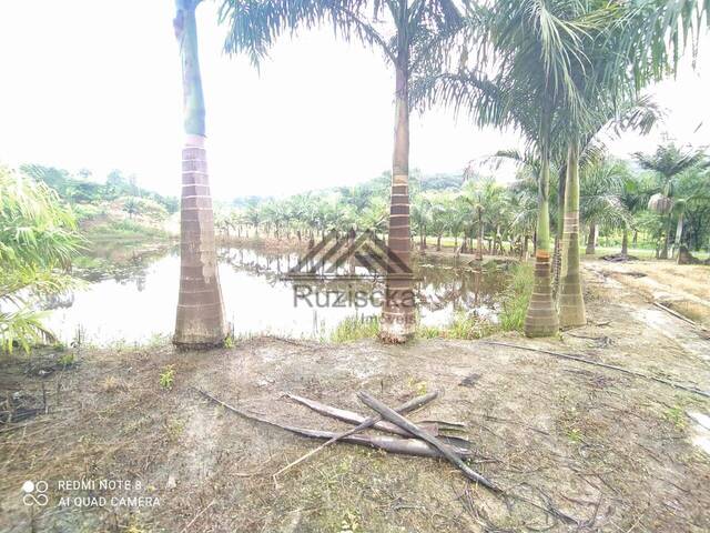 #CH022 - Sítio para Venda em Sete Barras - SP - 3