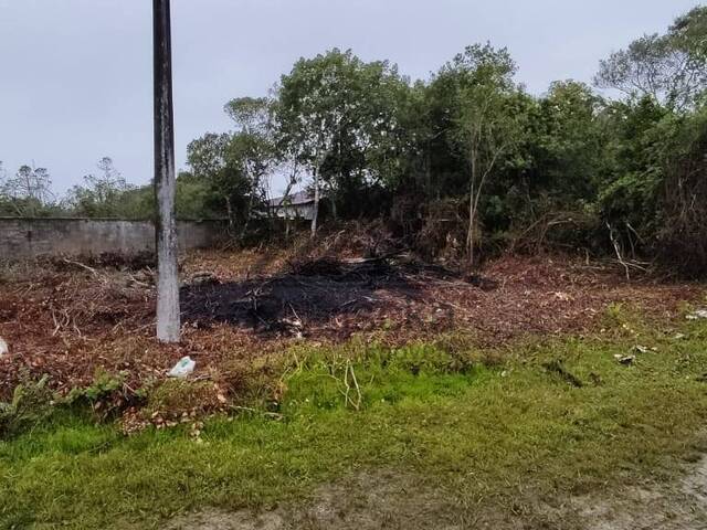 #TER024 - Terreno para Venda em Itanhaém - SP