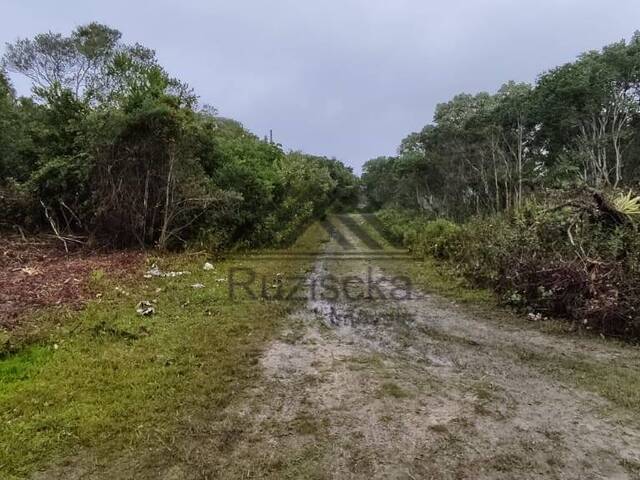 #TER024 - Terreno para Venda em Itanhaém - SP