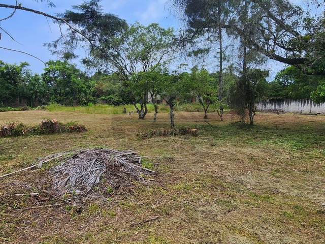 Área para Venda em Itanhaém - 5