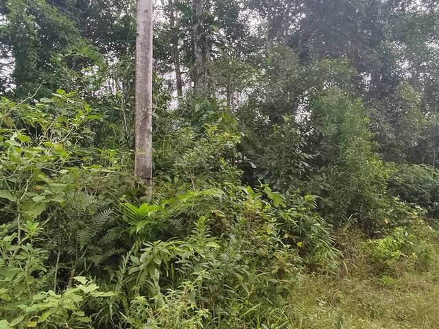 Terreno para Venda em Itanhaém - 3