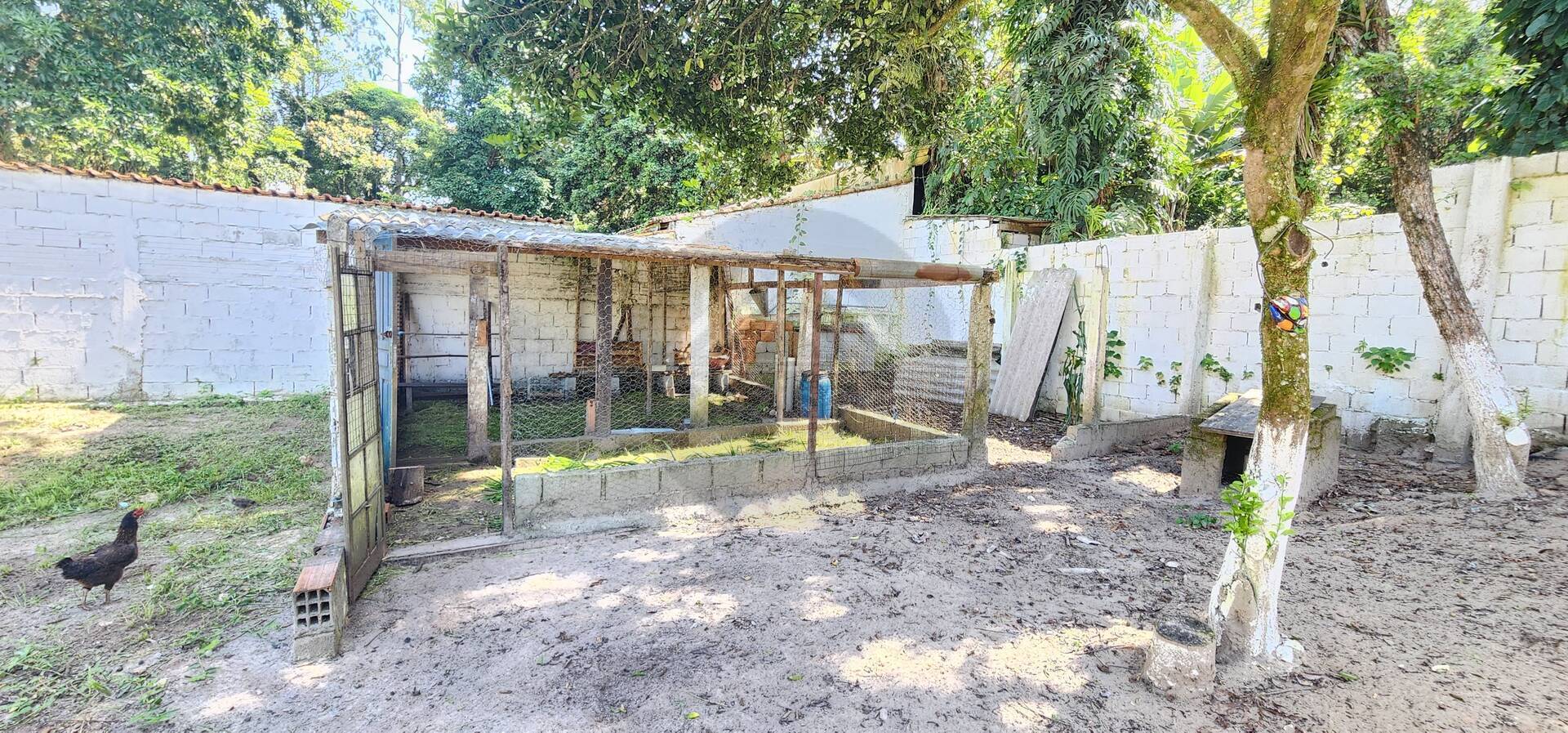 Fazenda à venda com 5 quartos, 2183m² - Foto 20